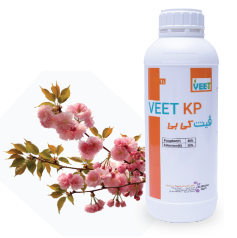 Veet KP