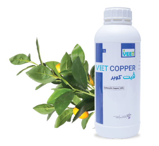 Veet copper